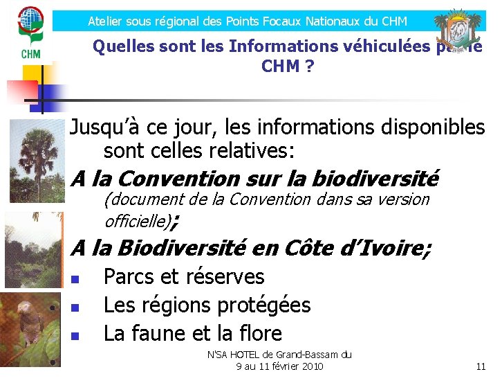 Atelier sous régional des Points Focaux Nationaux du CHM Quelles sont les Informations véhiculées