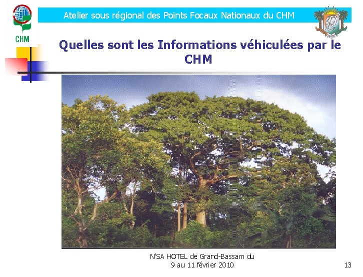 Atelier sous régional des Points Focaux Nationaux du CHM Quelles sont les Informations véhiculées