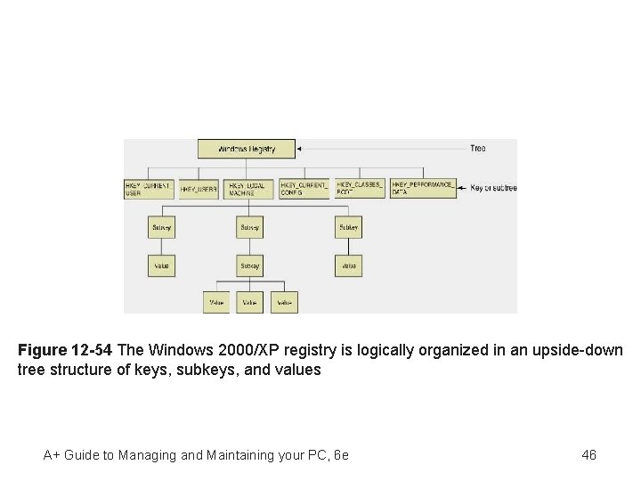 Figure 12 -54 The Windows 2000/XP registry is logically organized in an upside-down tree