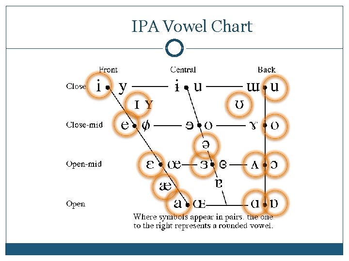 IPA Vowel Chart 