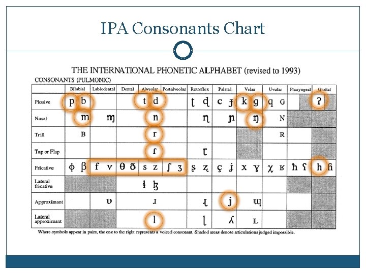 IPA Consonants Chart 