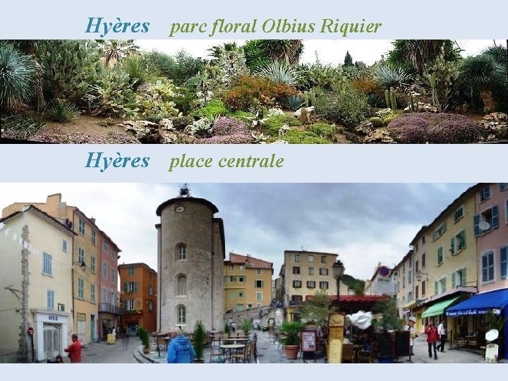 Hyères parc floral Olbius Riquier Hyères place centrale 