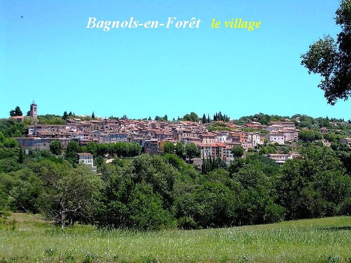 Bagnols-en-Forêt le village 