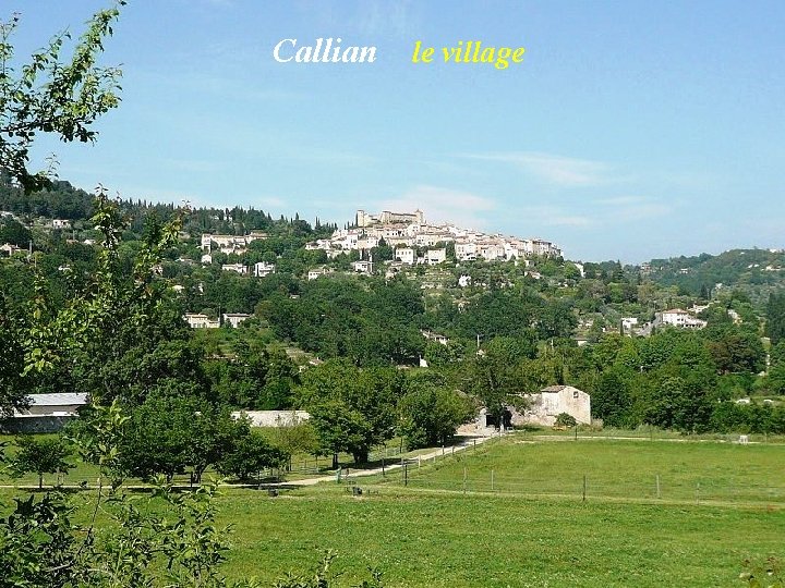 Callian le village 