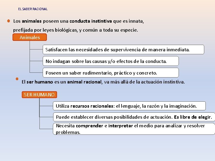 EL SABER RACIONAL Los animales poseen una conducta instintiva que es innata, prefijada por EL SABER RACIONAL Los animales poseen una conducta instintiva que es innata, prefijada por