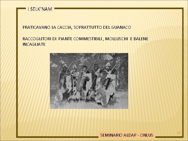 I SELK’NAM PRATICAVANO LA CACCIA, SOPRATTUTTO DEL GUANACO RACCOGLITORI DI PIANTE COMMESTIBILI , MOLLUSCHI