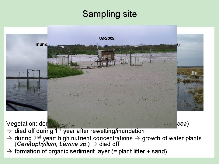 Sampling site inundation (04/2005) 08/2008 prior to rewetting / inundation (2004) inundation (11/2005) inundation