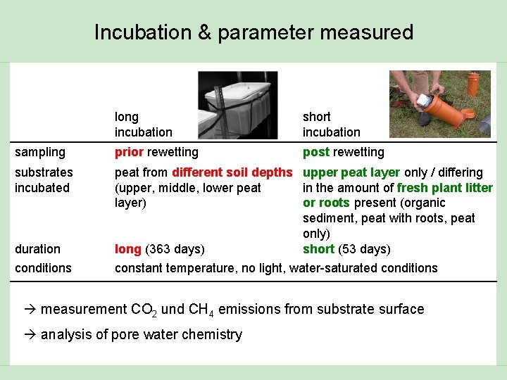 Incubation & parameter measured long incubation short incubation sampling prior rewetting post rewetting substrates