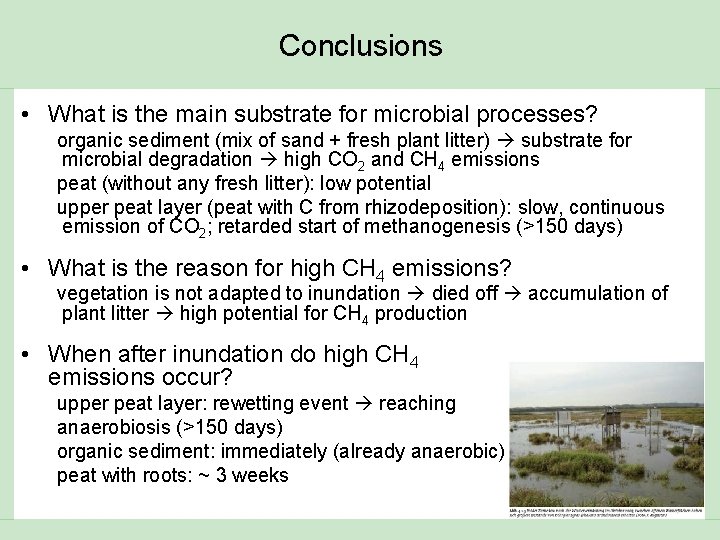 Conclusions • What is the main substrate for microbial processes? organic sediment (mix of