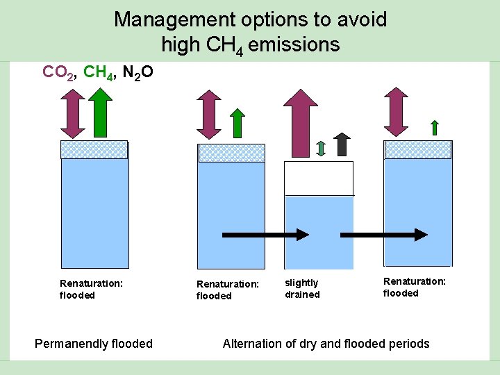 Management options to avoid high CH 4 emissions CO 2, CH 4, N 2