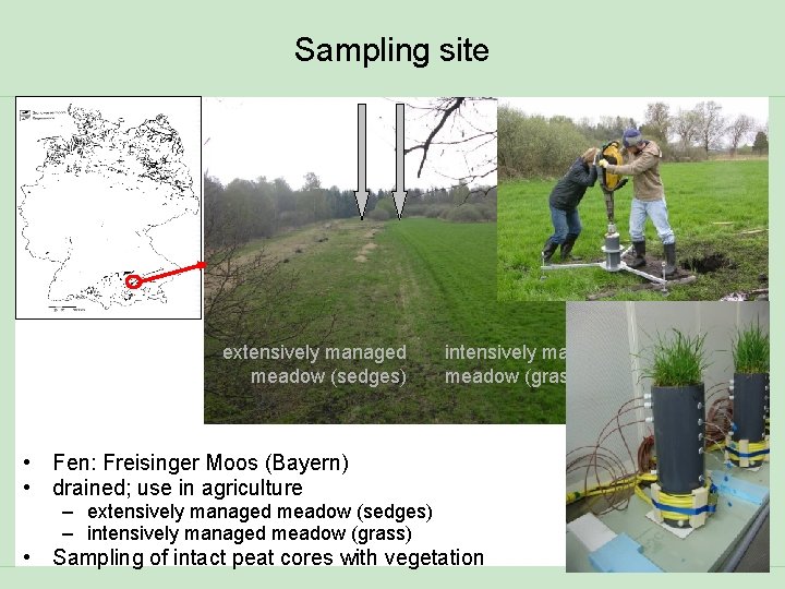 Sampling site extensively managed meadow (sedges) intensively managed meadow (grass) • Fen: Freisinger Moos