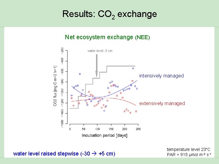 Results: CO 2 exchange Net ecosystem exchange (NEE) water level -5 cm intensively managed