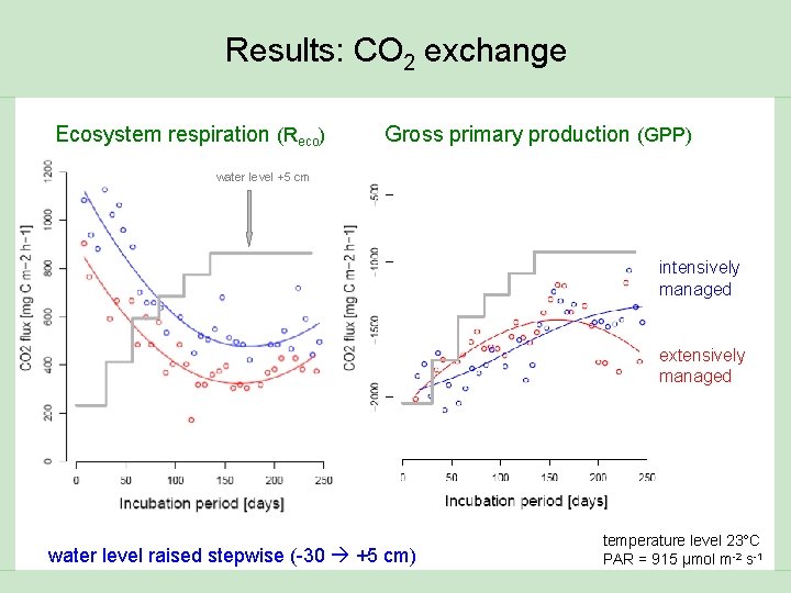 Results: CO 2 exchange Ecosystem respiration (Reco) Gross primary production (GPP) water level +5