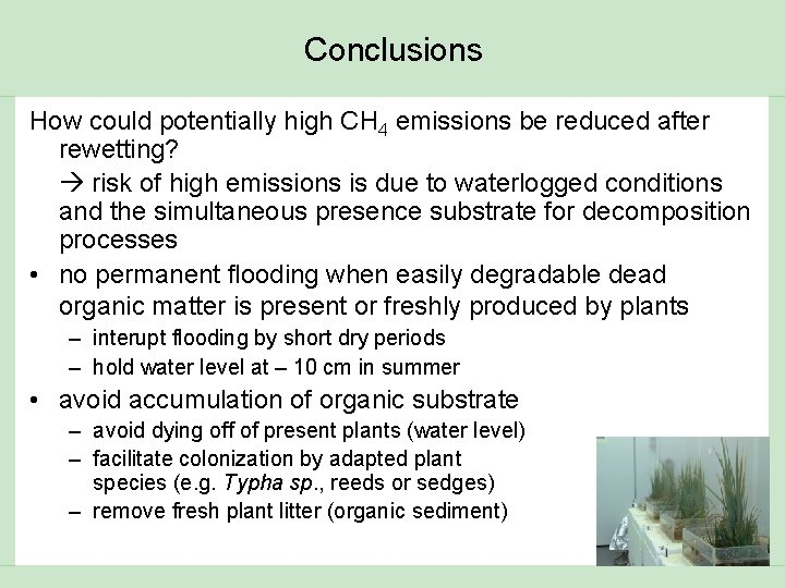 Conclusions How could potentially high CH 4 emissions be reduced after rewetting? risk of