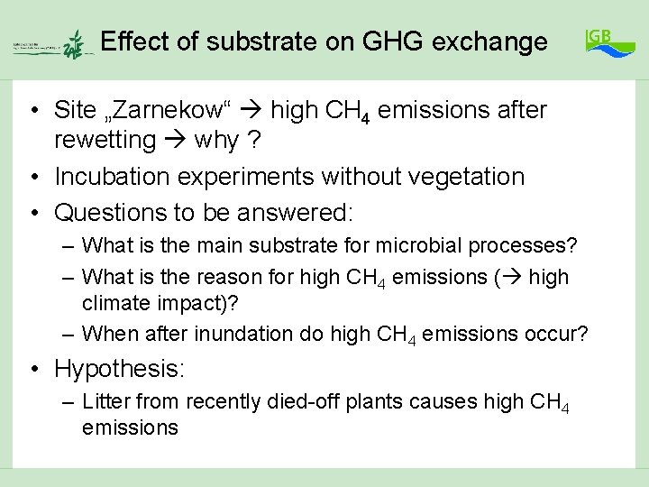 Effect of substrate on GHG exchange • Site „Zarnekow“ high CH 4 emissions after