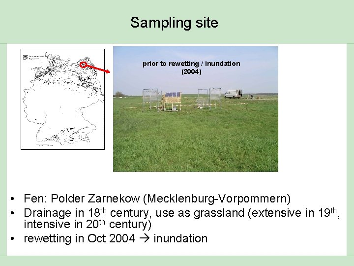 Sampling site prior to rewetting / inundation (2004) • Fen: Polder Zarnekow (Mecklenburg-Vorpommern) •