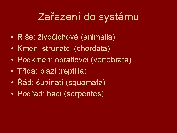 Zařazení do systému • • • Říše: živočichové (animalia) Kmen: strunatci (chordata) Podkmen: obratlovci