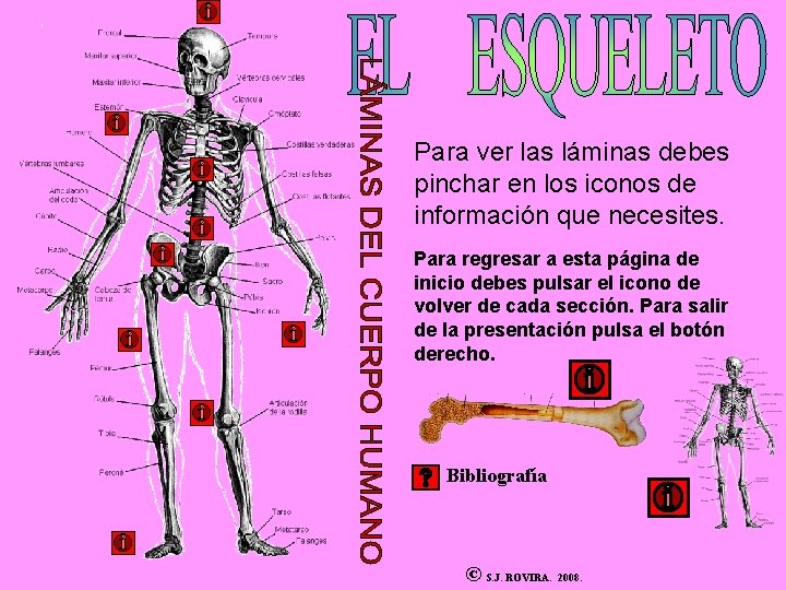 Para ver las láminas debes pinchar en los iconos de información que necesites. Para