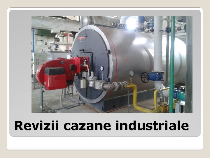 Revizii cazane industriale 