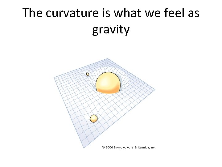 The curvature is what we feel as gravity 