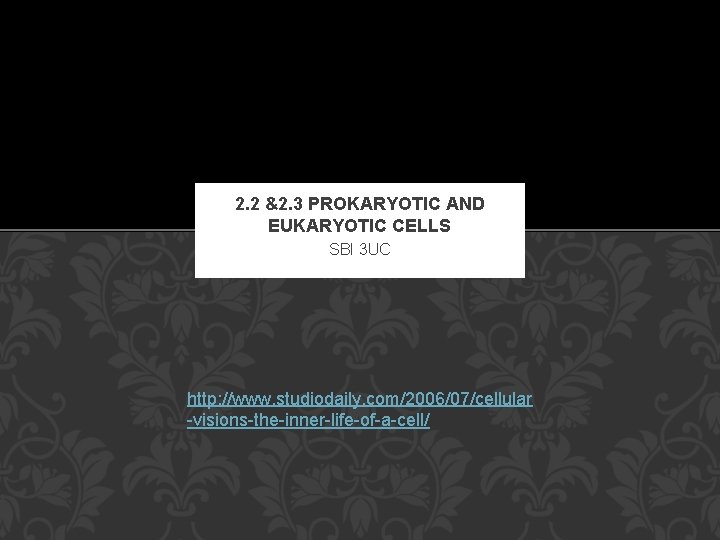 2. 2 &2. 3 PROKARYOTIC AND EUKARYOTIC CELLS SBI 3 UC http: //www. studiodaily.