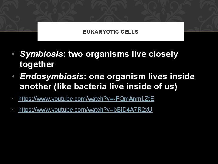 EUKARYOTIC CELLS • Symbiosis: two organisms live closely together • Endosymbiosis: one organism lives