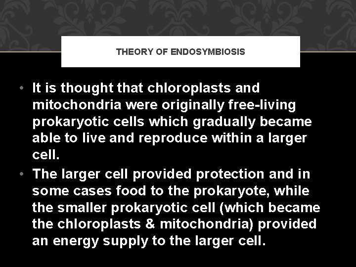 THEORY OF ENDOSYMBIOSIS • It is thought that chloroplasts and mitochondria were originally free-living