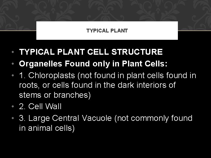 TYPICAL PLANT • TYPICAL PLANT CELL STRUCTURE • Organelles Found only in Plant Cells: