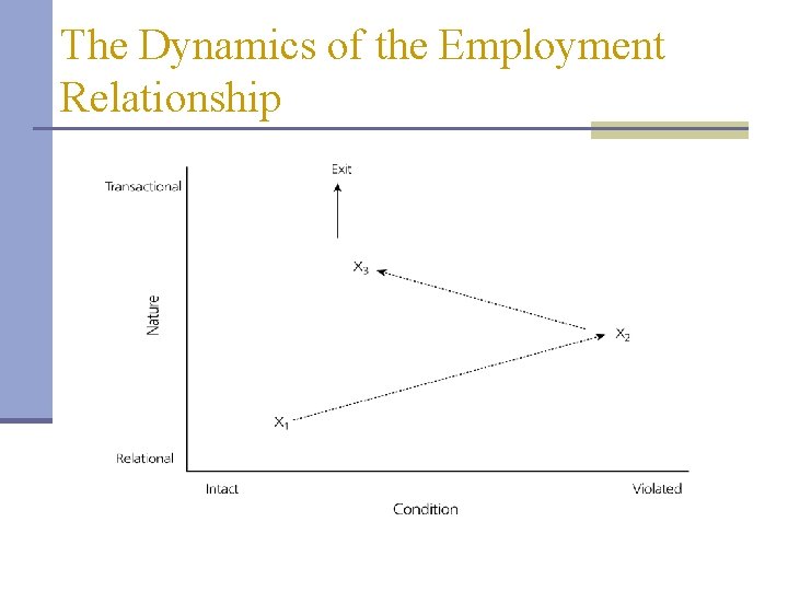 The Dynamics of the Employment Relationship 