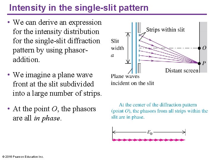 Intensity in the single-slit pattern • We can derive an expression for the intensity