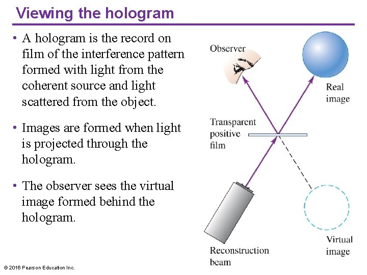 Viewing the hologram • A hologram is the record on film of the interference