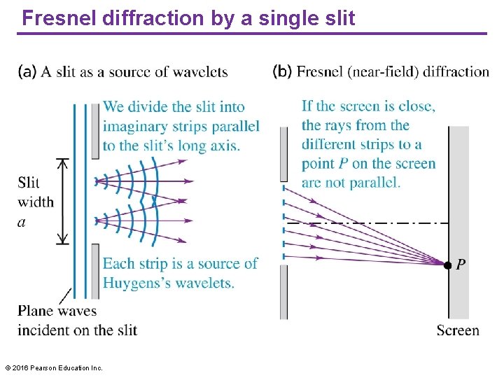 Fresnel diffraction by a single slit © 2016 Pearson Education Inc. 