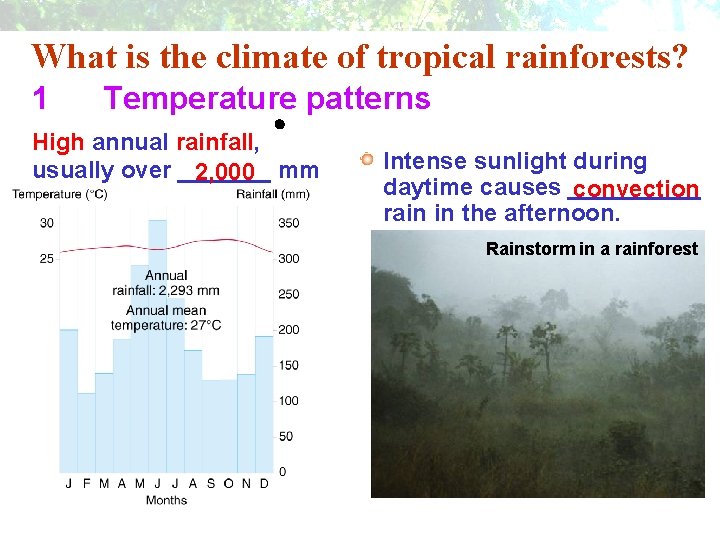 What is the climate of tropical rainforests? 1 Temperature patterns High annual rainfall, usually What is the climate of tropical rainforests? 1 Temperature patterns High annual rainfall, usually