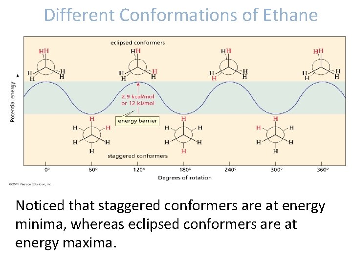 Different Conformations of Ethane Noticed that staggered conformers are at energy minima, whereas eclipsed Different Conformations of Ethane Noticed that staggered conformers are at energy minima, whereas eclipsed