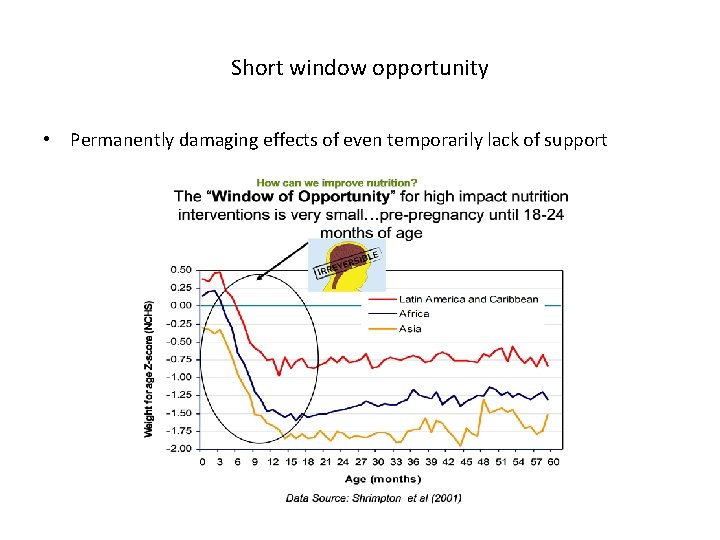 Short window opportunity • Permanently damaging effects of even temporarily lack of support 