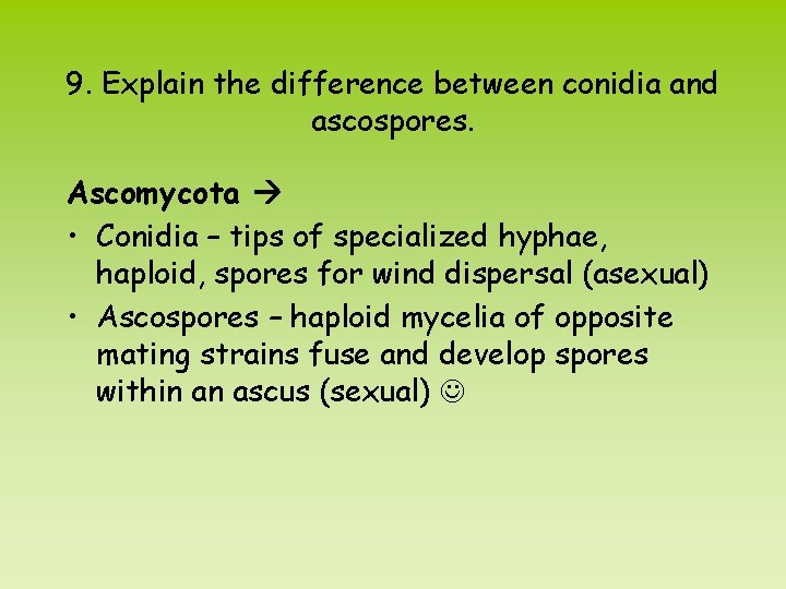 9. Explain the difference between conidia and ascospores. Ascomycota • Conidia – tips of