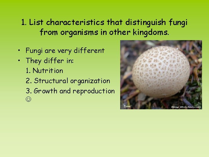 1. List characteristics that distinguish fungi from organisms in other kingdoms. • Fungi are