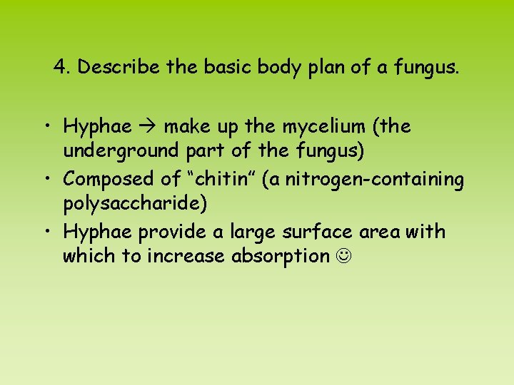 4. Describe the basic body plan of a fungus. • Hyphae make up the