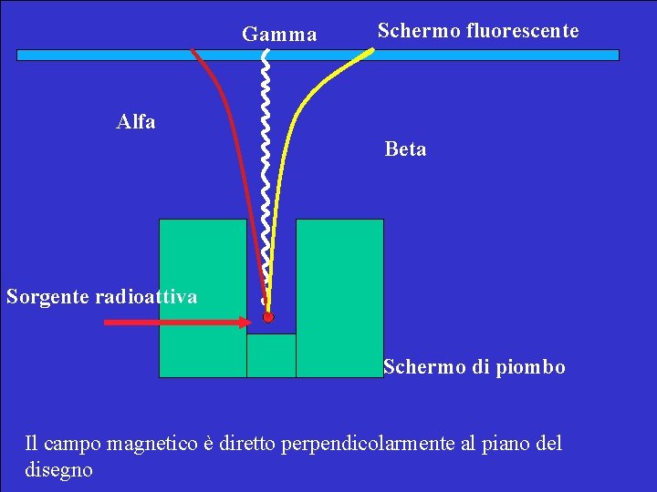 Gamma Schermo fluorescente Alfa Beta Sorgente radioattiva Schermo di piombo Il campo magnetico è