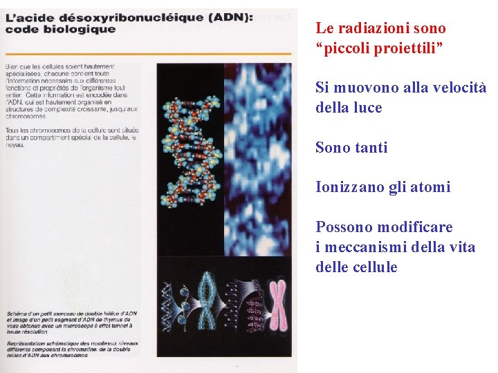 Le radiazioni sono “piccoli proiettili” Si muovono alla velocità della luce Sono tanti Ionizzano