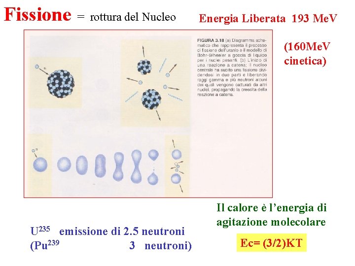 Fissione = rottura del Nucleo Energia Liberata 193 Me. V (160 Me. V cinetica)