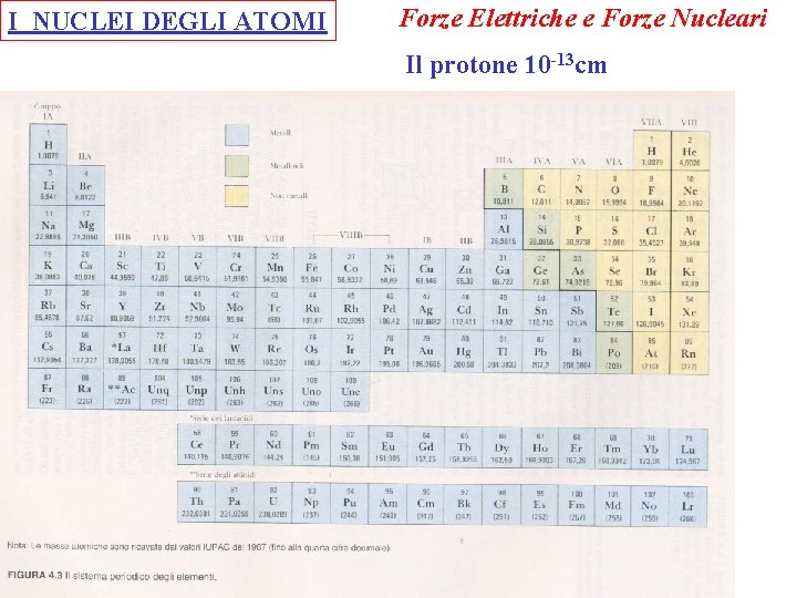 I NUCLEI DEGLI ATOMI Forze Elettriche e Forze Nucleari Il protone 10 -13 cm