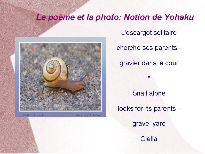 Le poème et la photo: Notion de Yohaku L'escargot solitaire cherche ses parents gravier