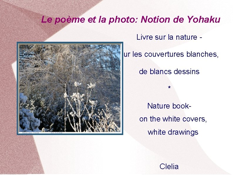 Le poème et la photo: Notion de Yohaku Livre sur la nature sur les