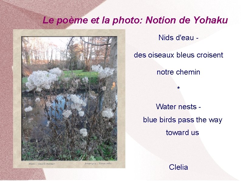 Le poème et la photo: Notion de Yohaku Nids d'eau des oiseaux bleus croisent
