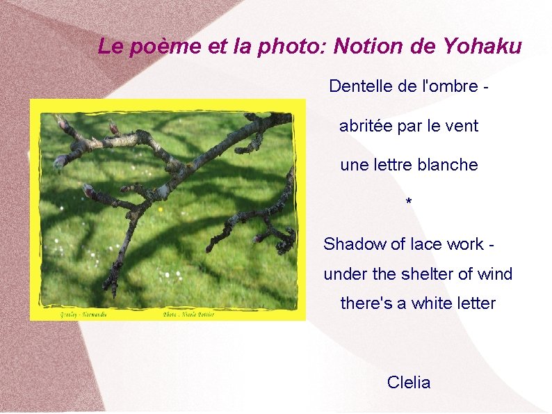 Le poème et la photo: Notion de Yohaku Dentelle de l'ombre abritée par le