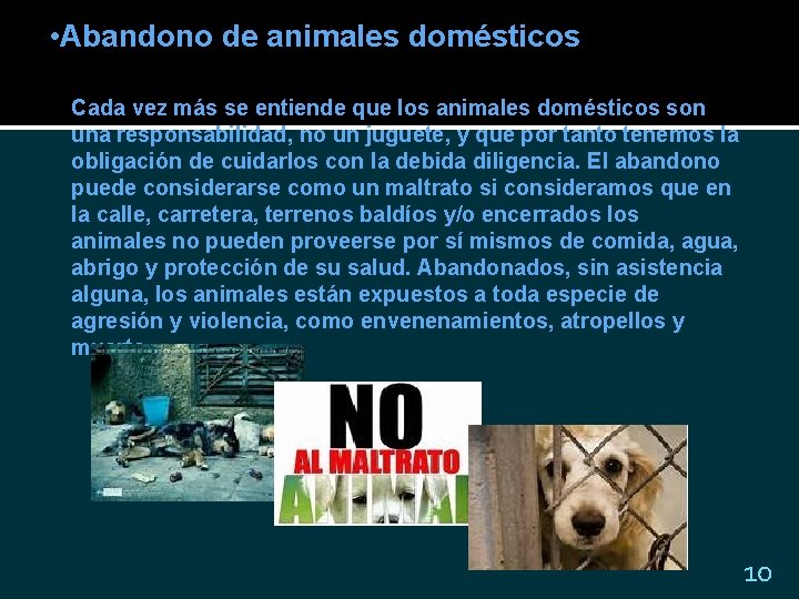  • Abandono de animales domésticos Cada vez más se entiende que los animales