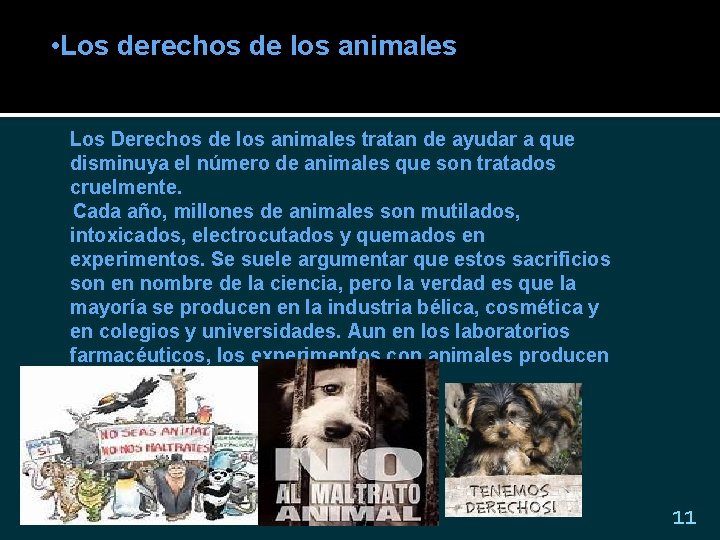  • Los derechos de los animales Los Derechos de los animales tratan de