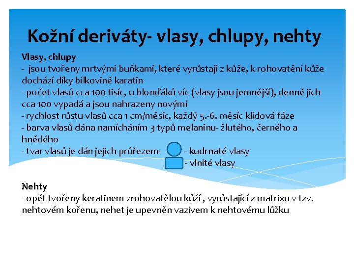 Kožní deriváty- vlasy, chlupy, nehty Vlasy, chlupy - jsou tvořeny mrtvými buňkami, které vyrůstají