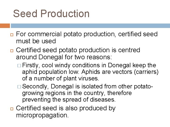 Seed Production For commercial potato production, certified seed must be used Certified seed potato